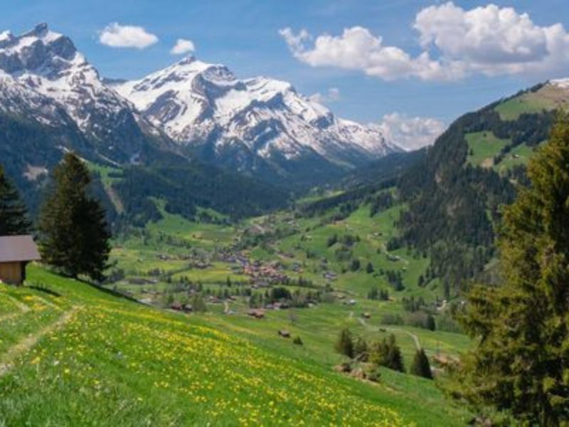 Shimla Manali Escape